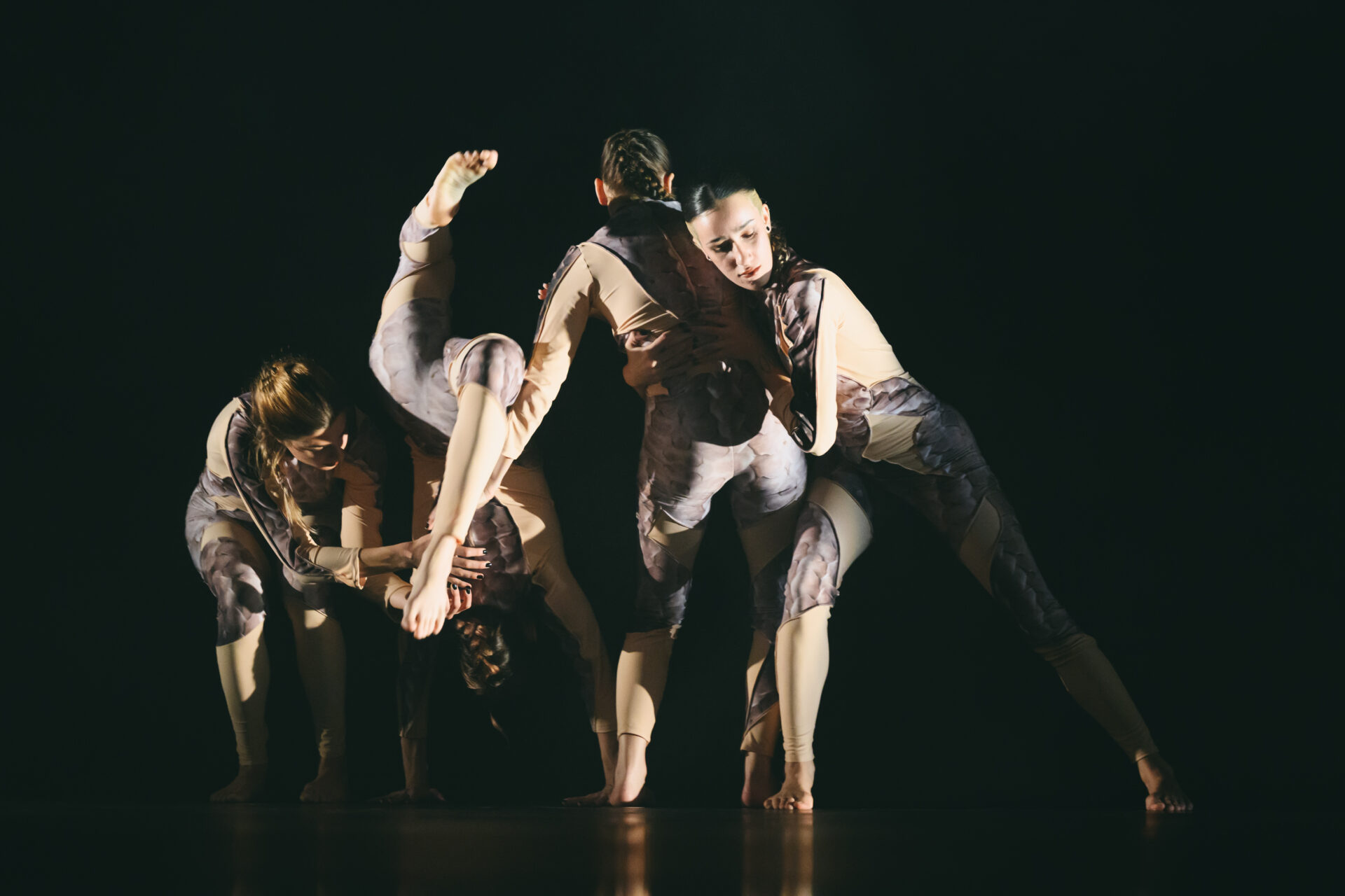 Το Σπίτι της Κύπρου| Cyprus CHOREOGRAPHY Athens 2026, στο Ίδρυμα Μιχάλης Κακογιάννης